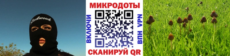 Галлюциногенные грибы Psilocybine cubensis  Юрга 